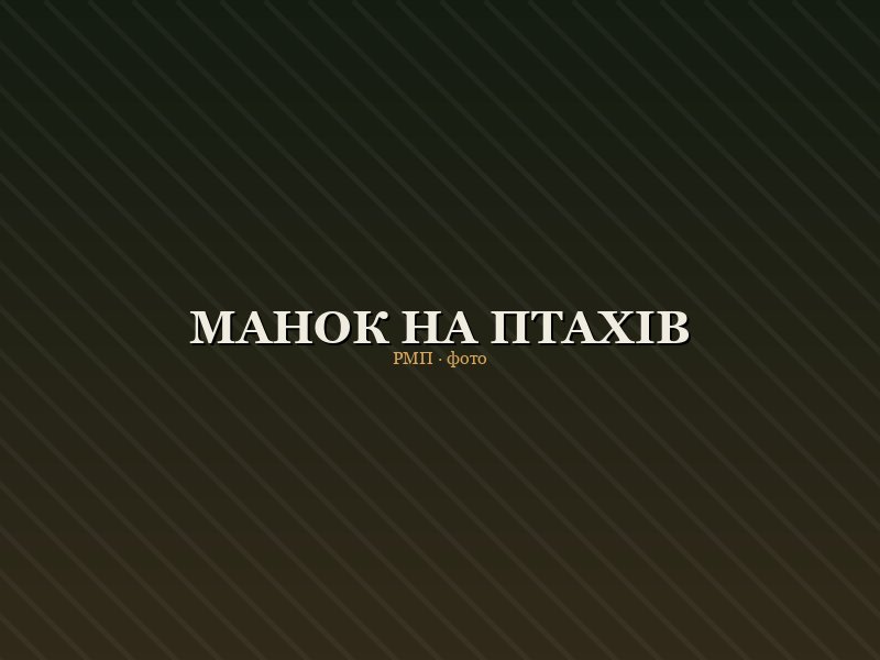 Манок на птахів Field Call