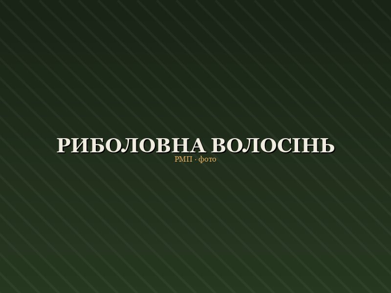 Волосінь риболовна Clear Line 100 м