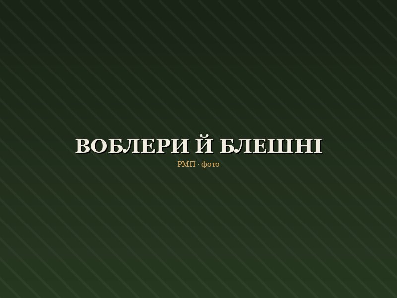 Набір воблерів Lake Master 12 шт