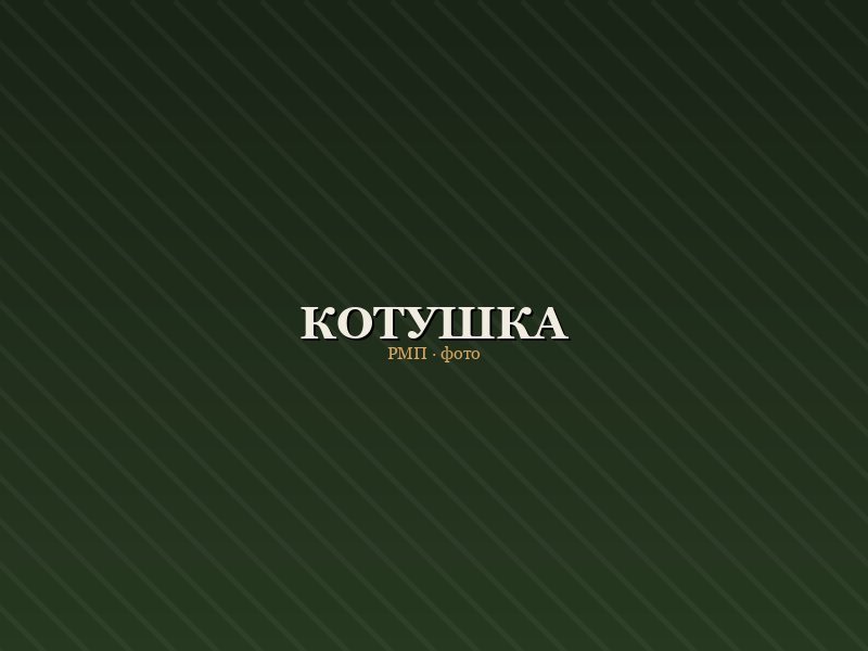 Котушка безінерційна Forest Pro 3000