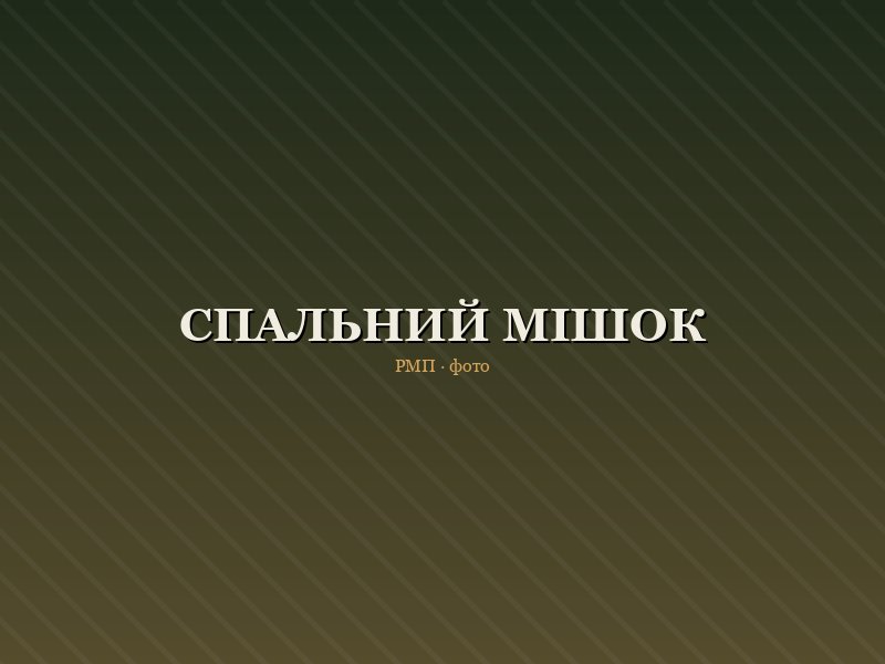 Спальний мішок WarmNight